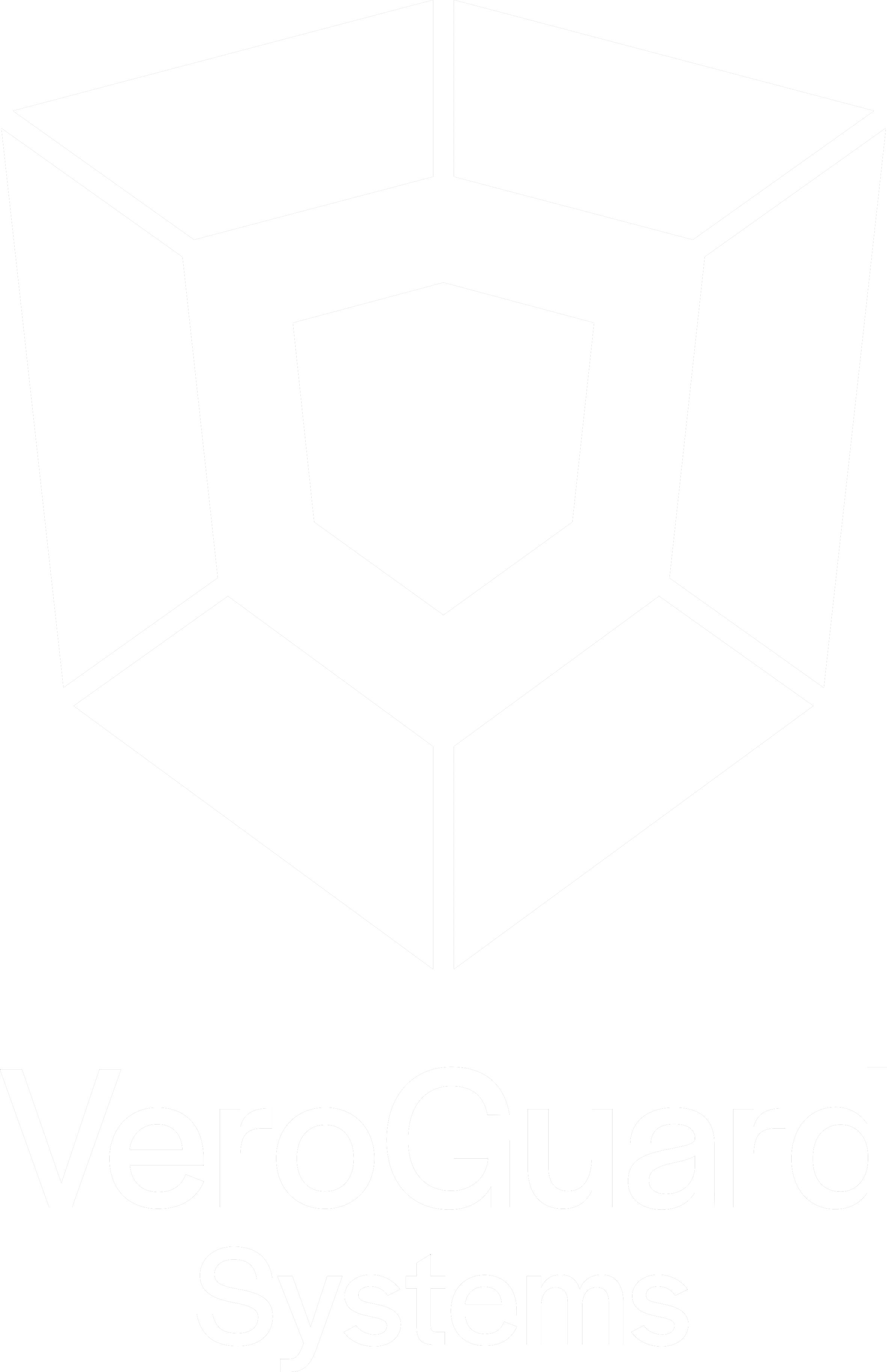 VeroGuard logo
